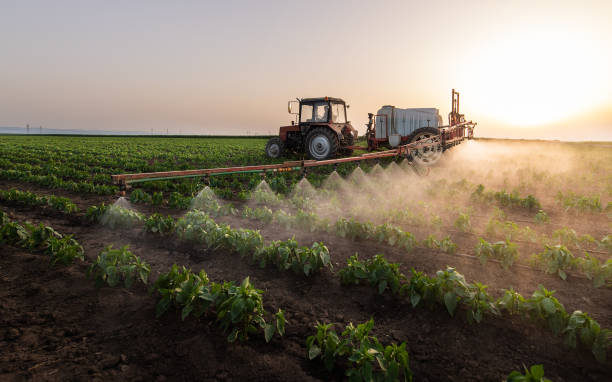 Best Pest Control Cost  in Baxter Estates, NY