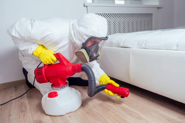 Best Wasp Removal Services  in Baxter Estates, NY