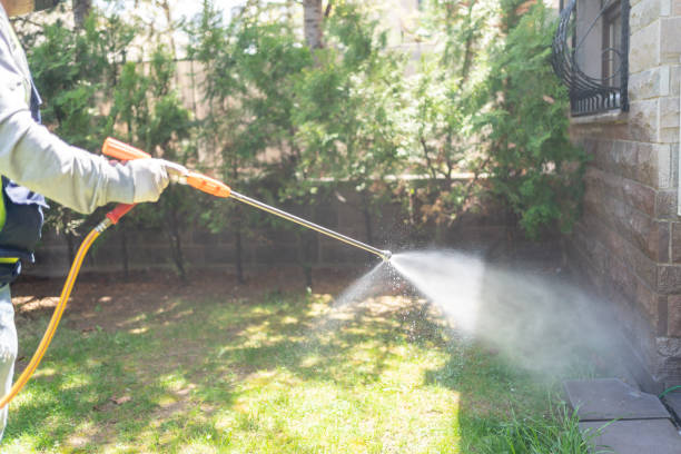 Flea Control Services in Baxter Estates, NY