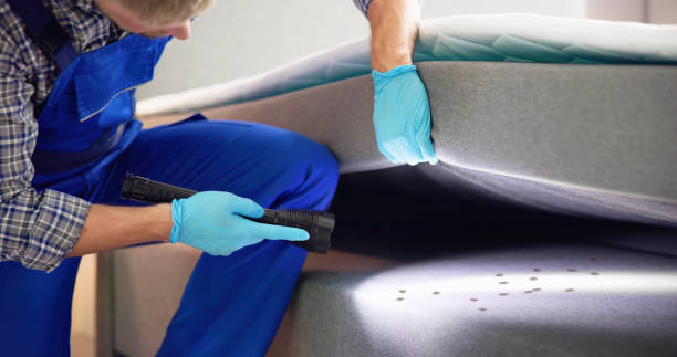 Best Residential Pest Control  in Baxter Estates, NY