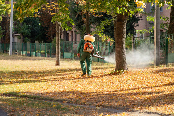 Best Mosquito Control Services  in Baxter Estates, NY