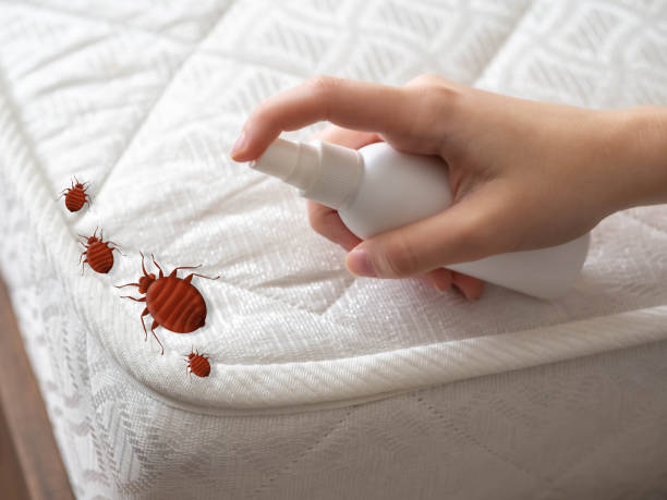 Best Best Pest Control Companies  in Baxter Estates, NY