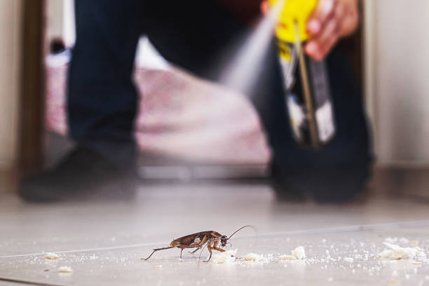 Best Pest Removal Services  in Baxter Estates, NY