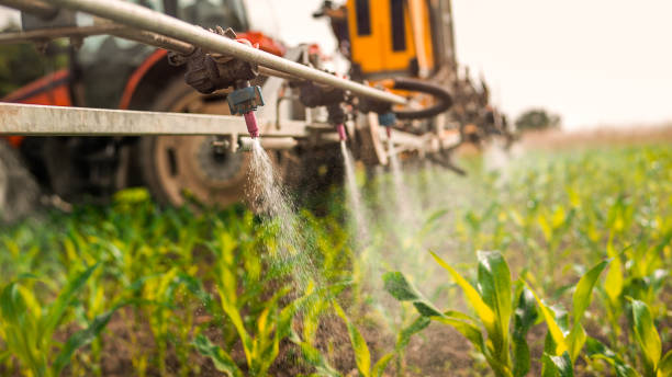 Best Best Pest Control Companies  in Baxter Estates, NY